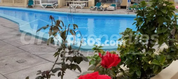 1 bedroom Apartment in Adeje, Spain No. 188528 35