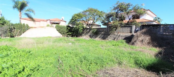 5 chambres Maison à Puerto de la Cruz, Spain No. 92375 6