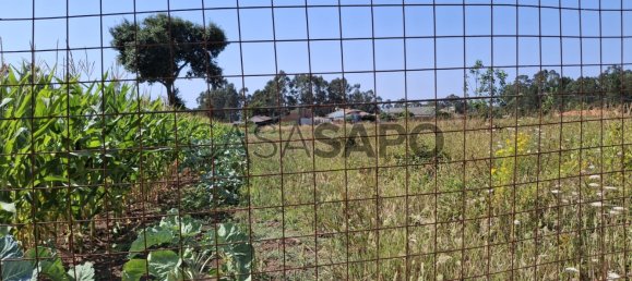 16560m² Land in Santa Maria da Feira, Portugal No. 190445 3