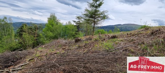 Terreno em Muhlbach-sur-Munster, France N.º 94151 2