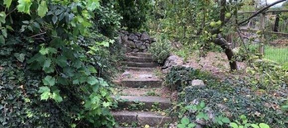 4 rooms House in Klosterneuburg, Austria No. 242242 16