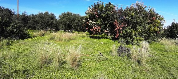 14000m² Hotel in Malia, Greece No. 4200 10