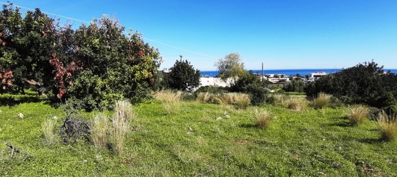 14000m² Hotel in Malia, Greece No. 4200 9