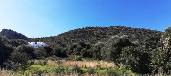 14000m² Hotel in Malia, Greece No. 4200 11