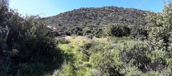 14000m² Hotel in Malia, Greece No. 4200 8