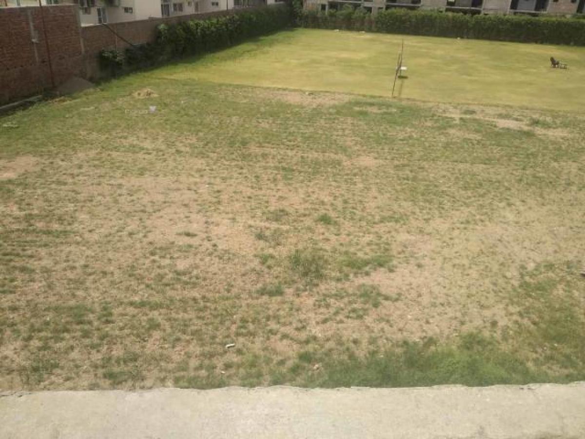  Land in Mohali, India No. 33980