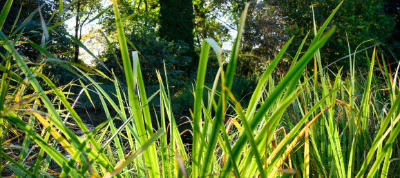 12-salle Villa à Aichach-Friedberg, Germany No. 226156 3