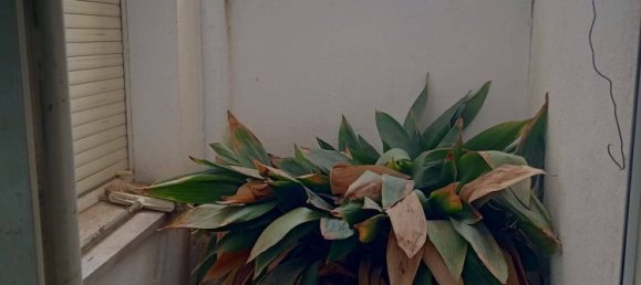 Casa T11 em Igualada, Spain N.º 96271 14