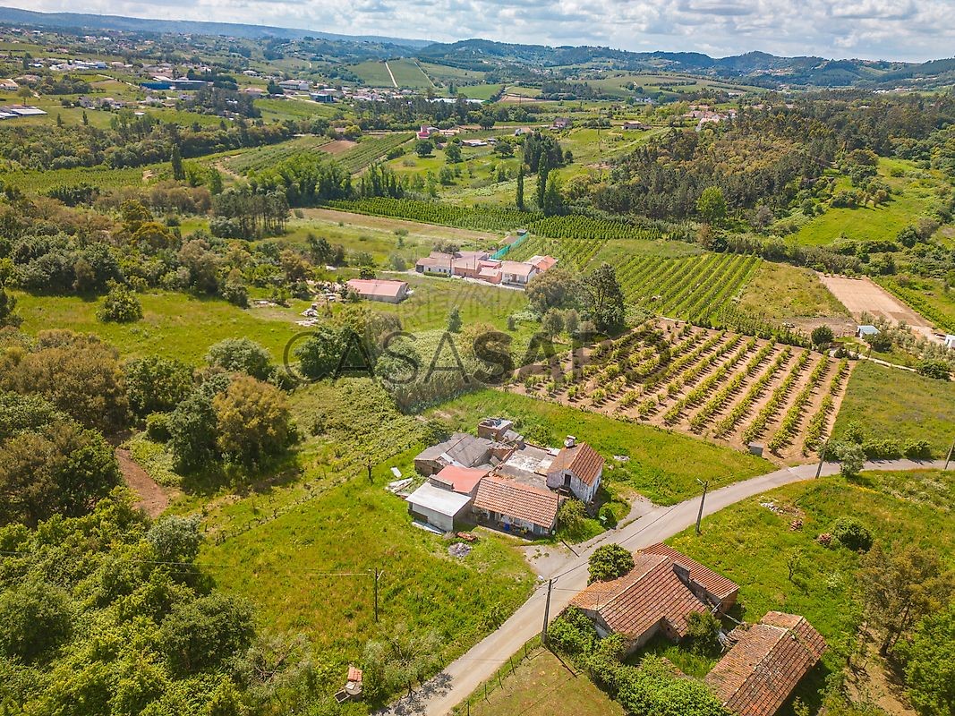 2 bedrooms House in Cela, Portugal No. 299856