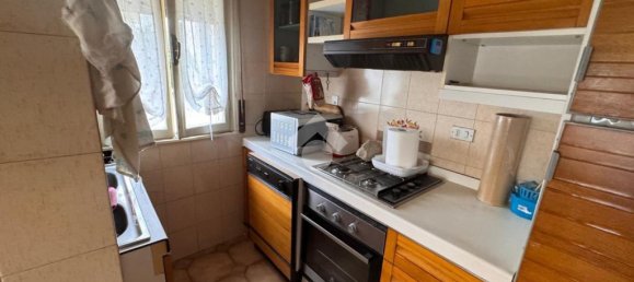 5 rooms Warehouse in Cartura, Italy No. 257672 20