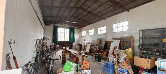 5 rooms Warehouse in Cartura, Italy No. 257672 7