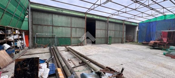 5 rooms Warehouse in Cartura, Italy No. 257672 3