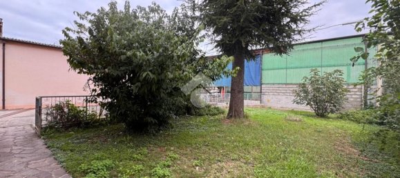 5 rooms Warehouse in Cartura, Italy No. 257672 9