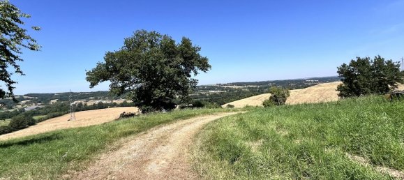 4 غرف نوم منزل في L'Isle-en-Dodon, France رقم 342210 11