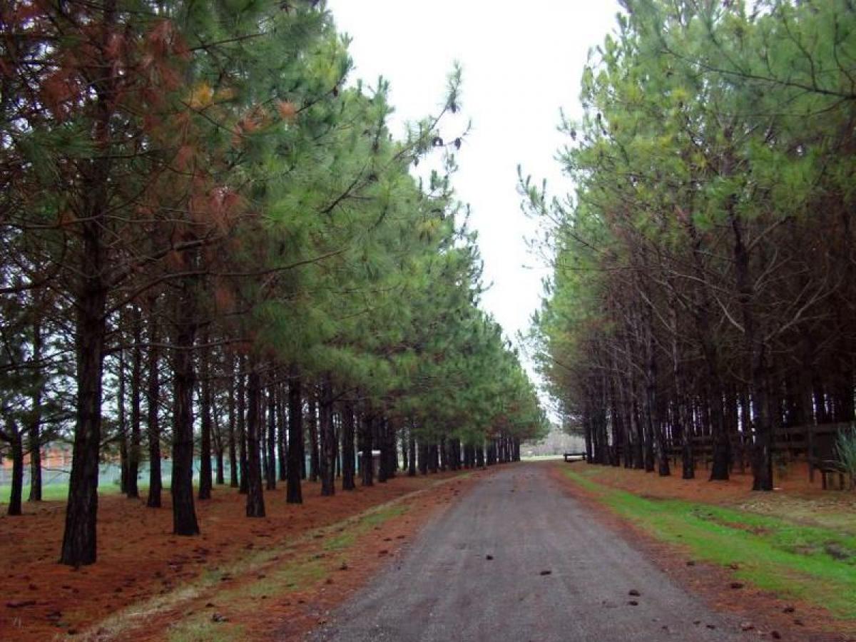 Земельный участок в Буэнос-Айрес, Аргентина № 118732