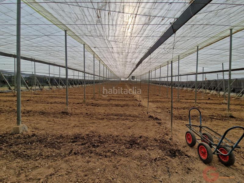 Дом с 3 спальнями в Гранада, Испания № 264178