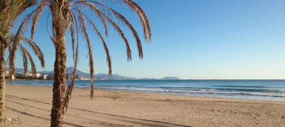 2 bedrooms Apartment in El Campello, Spain No. 159323 27