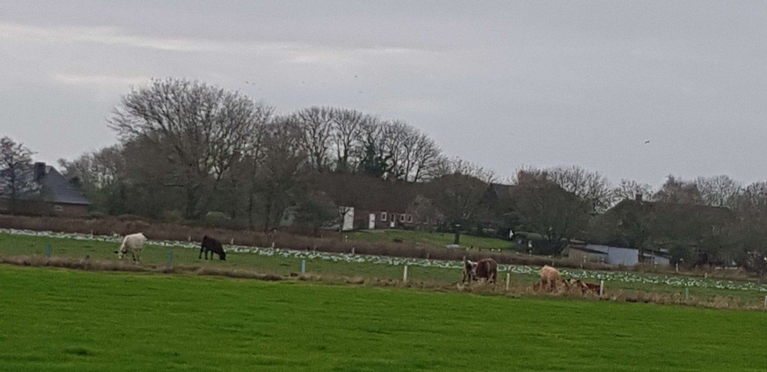 Дом с 3 спальнями в Северная Фрисландия, Германия № 242320