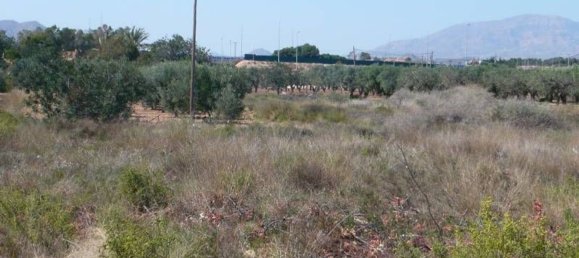 Земельный участок 4700м² в Моралет, Испания № 22297 10