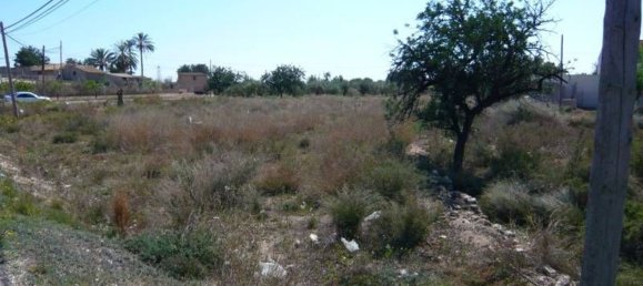 Земельный участок 4700м² в Моралет, Испания № 22297 6