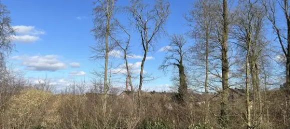 Adosado de 4 dormitorios en Osnabruck, Germany No. 165129 25