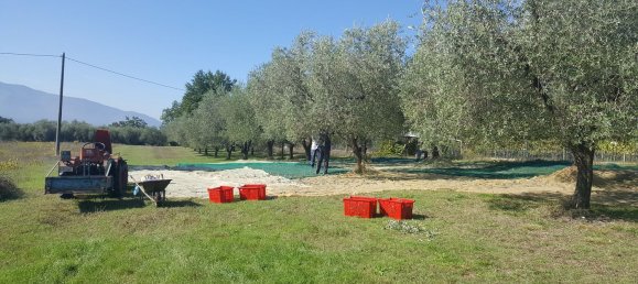 8 chambres Maison à Ceprano, Italy No. 256162 14