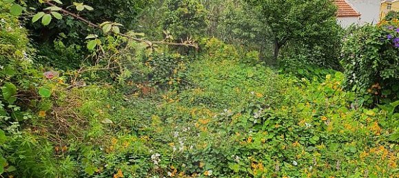 9 bedrooms House in Cascais, Portugal No. 49658 3