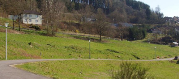  Land in Rhineland-Palatinate, Germany No. 143053 3