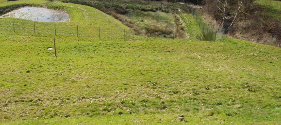  Land in Rhineland-Palatinate, Germany No. 143053 4