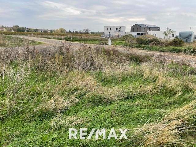 Terrain à Neusiedl am See, Austria No. 126983