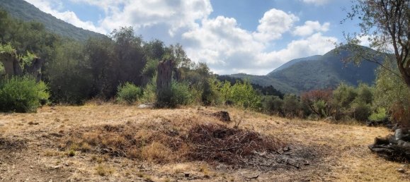 8600m² Hotel in Corfu, Greece No. 3504 12