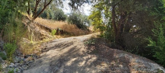 8600m² Hotel in Corfu, Greece No. 3504 8