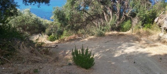 8600m² Hotel in Corfu, Greece No. 3504 9