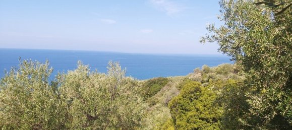 8600m² Hotel in Corfu, Greece No. 3504 5