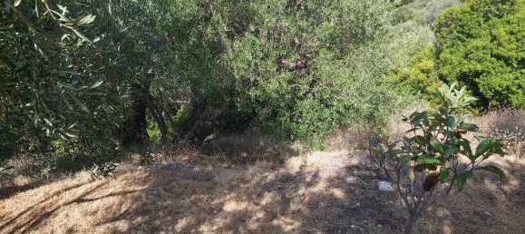 8600m² Hotel in Corfu, Greece No. 3504 6