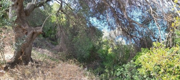 8600m² Hotel in Corfu, Greece No. 3504 11