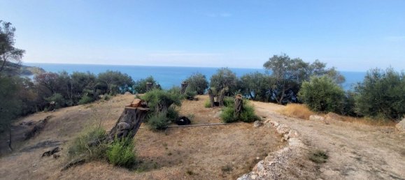 8600m² Hotel in Corfu, Greece No. 3504 16