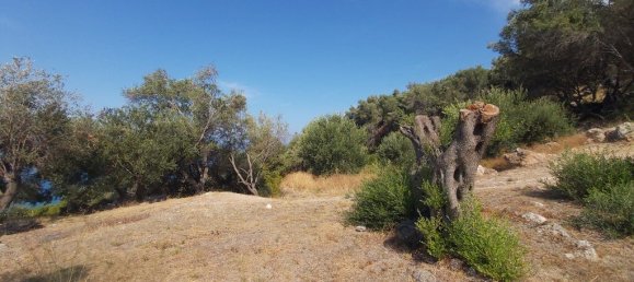 8600m² Hotel in Corfu, Greece No. 3504 7