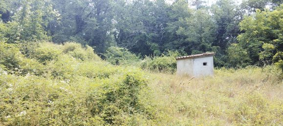 Grundstück in Montevarchi, Italy 86969m², Nr. 43911 6