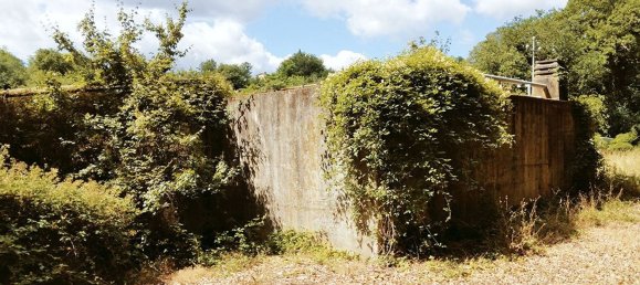 Grundstück in Montevarchi, Italy 86969m², Nr. 43911 4