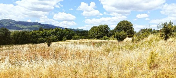 Grundstück in Montevarchi, Italy 86969m², Nr. 43911 2