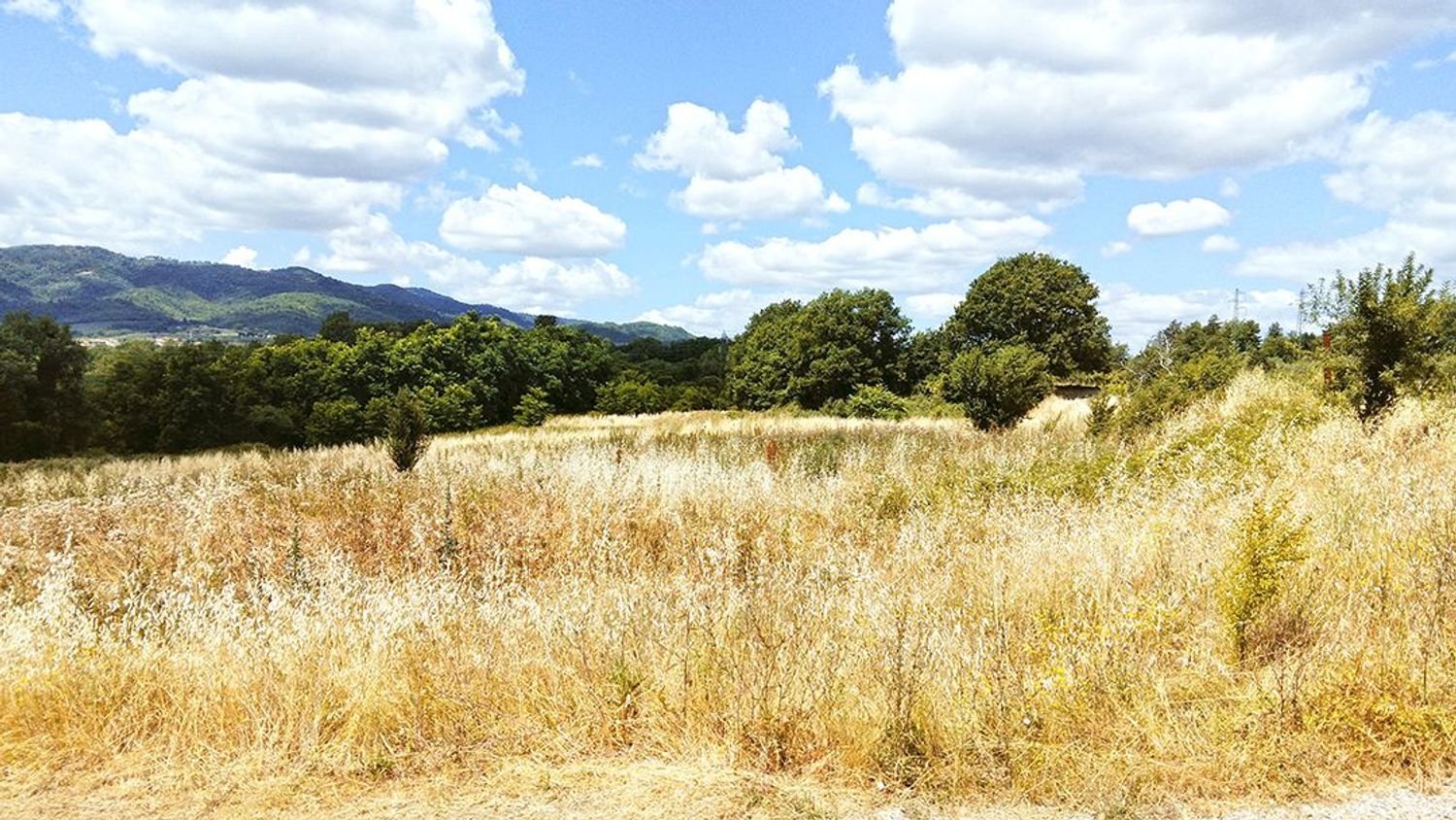 Grundstück in Montevarchi, Italy 86969m², Nr. 43911