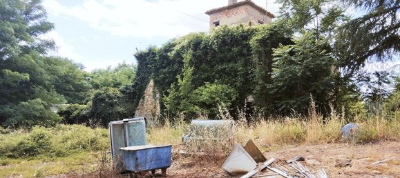 Grundstück in Montevarchi, Italy 86969m², Nr. 43911 11