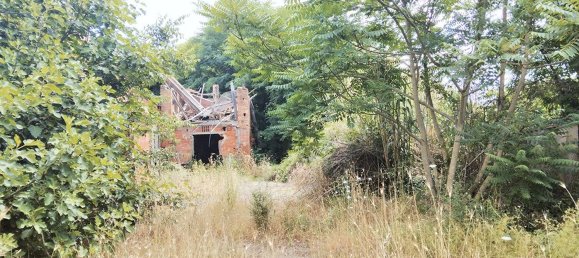 Grundstück in Montevarchi, Italy 86969m², Nr. 43911 9