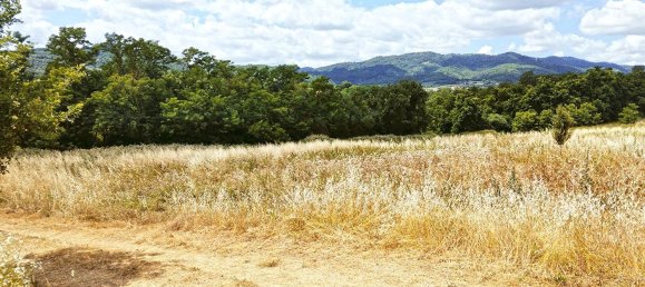 Grundstück in Montevarchi, Italy 86969m², Nr. 43911 3