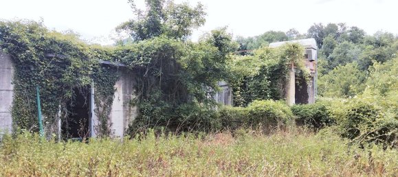 Grundstück in Montevarchi, Italy 86969m², Nr. 43911 5