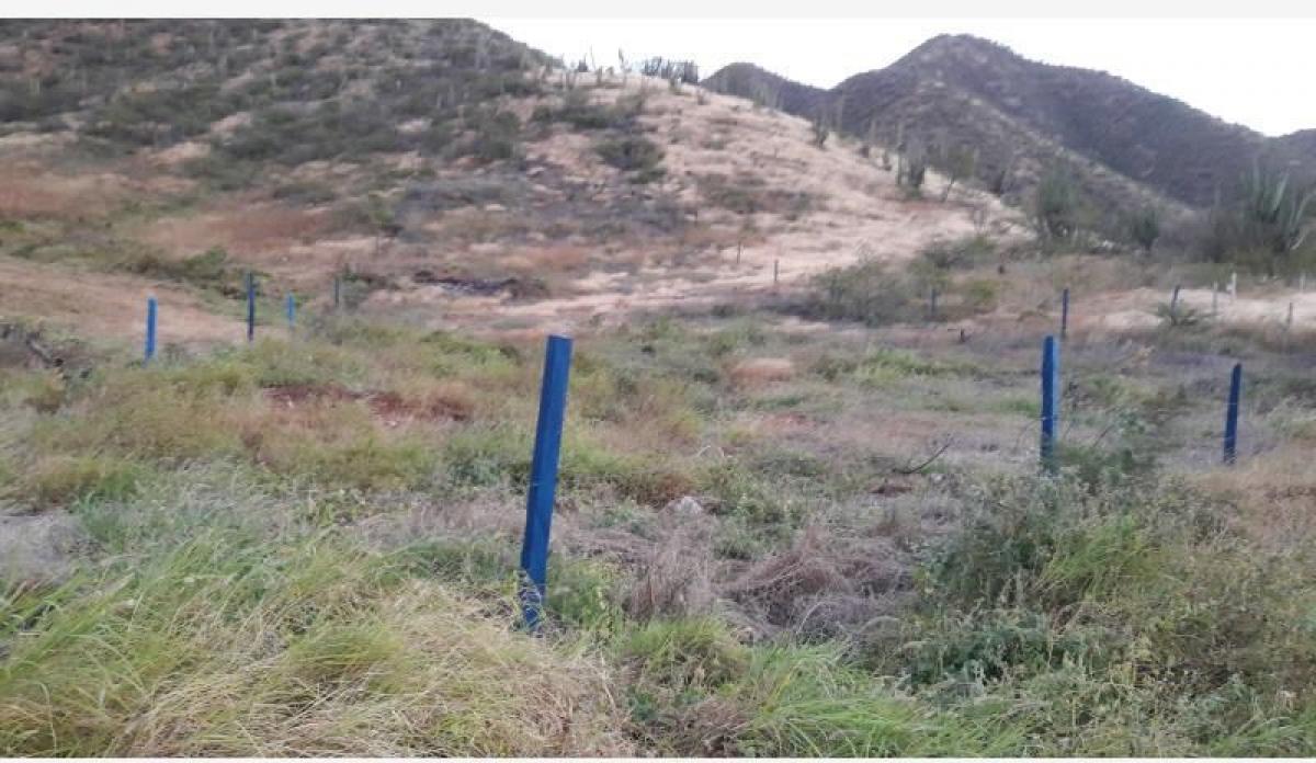 Земельный участок в Гвадалахара-де-Буга, Колумбия № 701