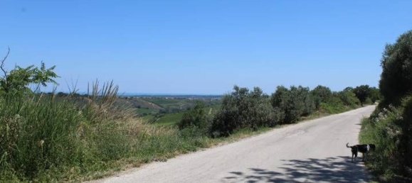 19 rooms House in Scerni, Italy No. 227712 12