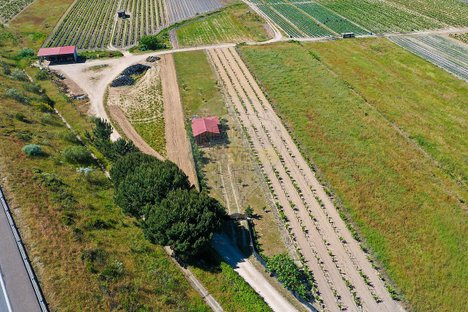  Land in Almeirim, Portugal No. 77447