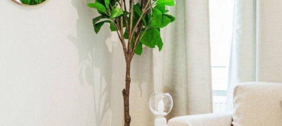 2 rooms Apartment in Wahring, Austria No. 171025 4